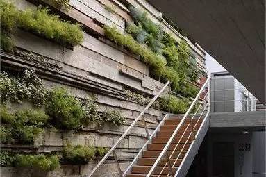 室內生態(tài)裝飾